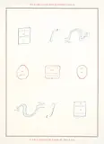 Marcel Broodthaers, Rébus, 1973, Farbserigraphie auf Hochglanzpapier