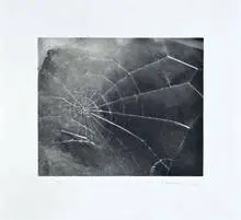 WEB by Vija Celmins, 2009, Silkscreen, sold Oct 2012