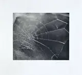 Vija Celmins, WEB, 2009, Silkscreen