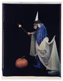 William Wegman, Fairy Godmother Spell