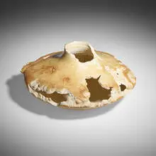 Michael Peterson, Mesa Stone, 1989, bleached maple burl