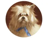 George Earl, The blue ribbon, oil on card