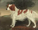 Naïve School, 19th century, Spaniel in a landscape, oil on canvas