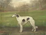 Henry Crowther, 'OLGA OF HAYWRA', oil on canvas
