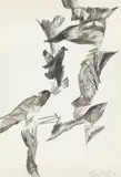Andreas Urteil, Figuration, 1960, Tusche auf Papier