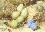 Ows William Henry Hunt, Magnum Bonum and Orleans Plums with a Rosehip, watercolour and bodycolour