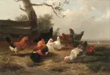 Cornelius Van Leemputten, Farmyard fowl, a pair, oil on panel