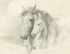 Lucy Kemp-Welch, Mare and foal, pencil