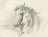 Lucy Kemp-Welch, Mare and foal, pencil