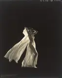 Edward Steichen, Model Jule (Gwili) André für Vogue