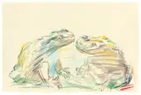 Oskar Kokoschka, Zwei Frösche, Um 1968, Farbkreide auf Papier (aus einem Zeichenblock)