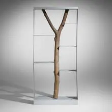 Andrea Branzi, Piccolo Albero bookcase, 1991, enameled steel, Italian beech