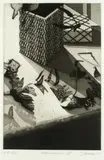 Bill Jacklin Ra, Anemones Series (A set of seven etchings), Seven drypoint-etchings with aquatint, 1977, on wove, each signed