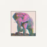 Elephant. Aus: „Endangered Species by Andy Warhol, 1987, 3 Farboffsets, jeweils auf Glanzpapier, sold May 2021