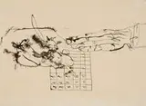 Bianca Dorso, Untitled (Study), ink on paper