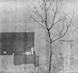 Arnold Newman, Tree and Wall, Philadelphia