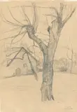 Paula Modersohn-Becker, Baum vor einem Bauernhaus / Gänsestudie“. 1899 und 1900/01, Kohle und blaue Farbkreide auf Papier, beidseitig. 38,2. × 26 cm (10 ¼ in.)