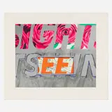 James Rosenquist, Sight-Seeing, 1972, lithograph and screenprint in colors on German Etching