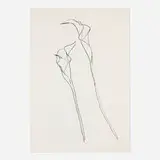 Ellsworth Kelly, Calla Lily 2, 1984, lithograph on BFK Rives