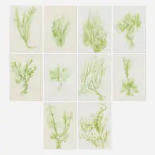 Giuseppe Penone, Ten works (from the Trentatre Erbe portfolio), 1989, lithograph in colors