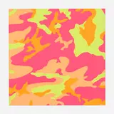 Andy Warhol, Untitled (from the Camouflage portfolio), 1987, screenprint in colors on Lenox Museum Board
