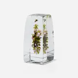 Paul Stankard, Botanical paperweight