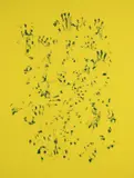 Donna Huanca, Scarring/Branding