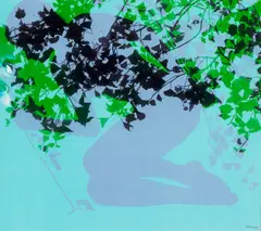 Floris Michael Neusüss, KOR B27, aus der Serie „Körperbilder, 2009, Photogramm, Cibachrome-Abzug