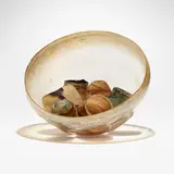 Dale Chihuly, Early Basket group