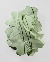 Eichenlaub by Olaf Metzel, 1990, Grüner Beton, sold Nov 2015