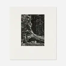 Cole Weston, Nude, Lake Almadon, 1979, vintage gelatin silver print
