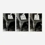 Vito Acconci, A Performace Situation Using Alphabets (triptych)
