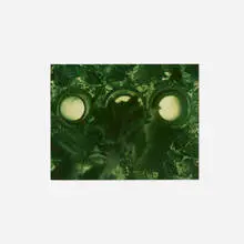 Leaf by Jimmy De Sana, 1985, vintage Cibachrome print, offered Jun 2026