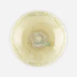 Adelaide Robineau, Dish with winged scarabs