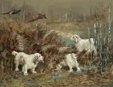 Reuben Ward Binks, Flushing out pheasants