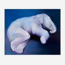 Ivette Zighelboim, Elephant, 2005, oil on canvas