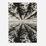 Fariba Hajamadi, From a Safe Distance, 1987, photo emulsion on canvas over panel