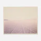 Richard Misrach, Tracks, Black Rock Desert