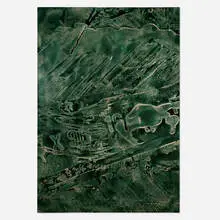 Daniel Lefcourt, Cast (Divisible Into Discrete Unites), 2013, PBK31 (perylene green-black) pigment and urethane paint on canvas