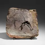 Peter Callas, Slab, 1981, anagama-fired stoneware