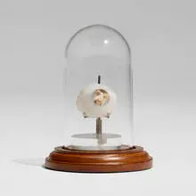 Justin Lieberman, The Asset (Self-Portrait), 2004, acrylic, glass, wood, aluminum
