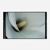 Flower Rondeau (Kakyoku) by Nobuyoshi Araki, C-print, offered Jul 2024