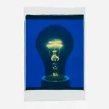 Amanda Means, Light Bulb 00017C (from the Color Polaroid series), 2001, Polaroid