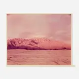 Richard Misrach, St. Jack #1