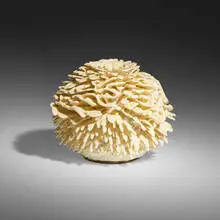 Urchin Accretion vase by The Haas Brothers, 2016, color-changing slip, glazed porcelain, brass plate, offered Jan 2024
