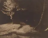 Josef Sudek, Landschaft mit Waldweg