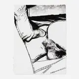 Untitled I (from the Sex Parts series) by Andy Warhol, 1978, screenprint on HMP, offered Jan 2024