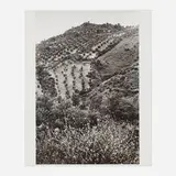 André Kertész, Spain