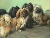 Fannie Moody, The family, pastel