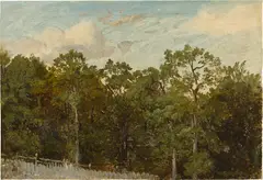 Ernst oder Bernhard Fries, Waldstudie I, Öl auf Leinwand, auf Karton aufgezogen